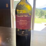 RISTORANTE TERASAKI - 