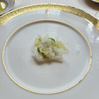 SALONE TOKYO - 