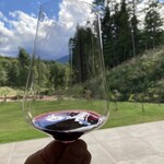 RISTORANTE TERASAKI - 