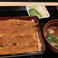 うなぎ 目白ぞろ芽 - 