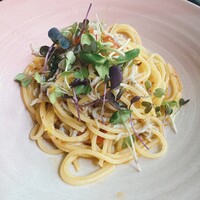 セルサルサーレ - パスタ セルサルサーレ - パスタ
