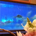 かしま - かわはぎちゃんが泳いでます。