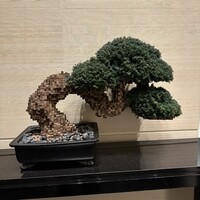日本料理 「風花」 コンラッド東京 - 