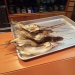 割烹　桶田 - 生きた鮎