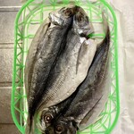 中華そば うお静 - 