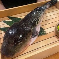 のどぐろ専門 銀座 中俣 - 