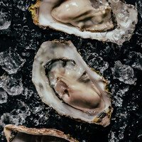 オイスター - Fresh oyster (1 piece)