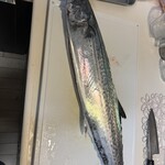 惣助 - サワラ70センチ