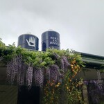 Bird In Hand Winery - 