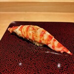 鮨 猪股 - 車海老