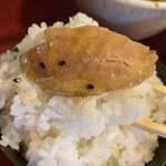 一乗寺つるかめ - 