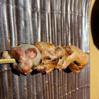 鳥ばか一代 - 