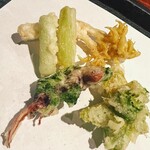 飛騨季節料理 肴 - 