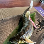 飛騨季節料理 肴 - 