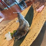 飛騨季節料理 肴 - 