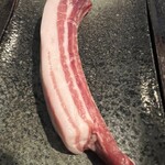 飛騨季節料理 肴 - 