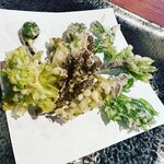 飛騨季節料理 肴 - 