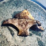 飛騨季節料理 肴 - 