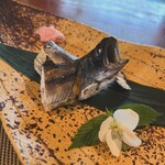 飛騨季節料理 肴 - 