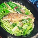 飛騨季節料理 肴 - 