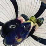 飛騨季節料理 肴 - 