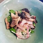 飛騨季節料理 肴 - 