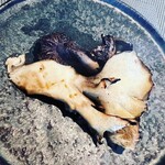 飛騨季節料理 肴 - 