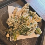 飛騨季節料理 肴 - 