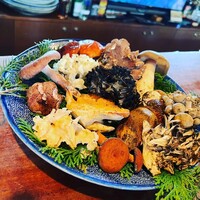 飛騨季節料理 肴 - 