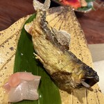 飛騨季節料理 肴 - 