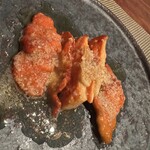 飛騨季節料理 肴 - 