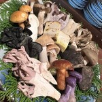 飛騨季節料理 肴 - 