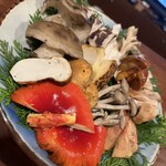 飛騨季節料理 肴 - 