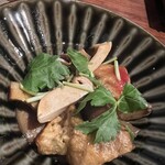 飛騨季節料理 肴 - 