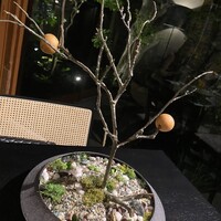 イノベーティブ フレンチ ワタハン - 