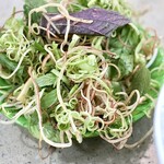 BUN BO HUE DONG BA - 見たことない草