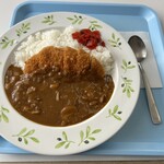 レストハウス八甲田 - カツカレーライス