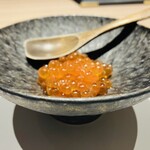 銀座 すし 仙道 - いくら小丼