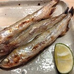 すしやのたい悟 - 北海道鵡川の本ししゃも