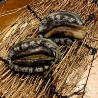 神楽坂 鉄板焼 向日葵 - 