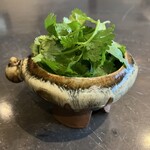 LAMP - パクチートッピング