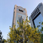 Vertigo & Moon Bar - 