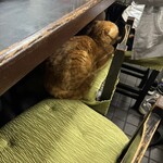 やきとん ますだ - 