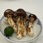 銀座 ひらやま - 