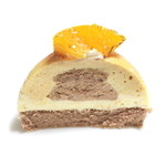 プティ・グラン - アルモニの断面 '12 12月上旬