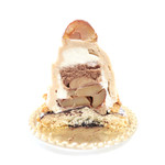 プティ・グラン - モンブランの断面 '14 3月中旬