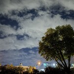 焼きもの家 慶 - 明るい銀河系中心方面の天の川を見る事なく今年も冬の夜空を愛でる季節がやって来た^_^