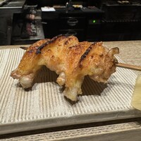 鳥カミ - 