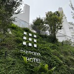 SHIROIYA the PATISSERIE - 