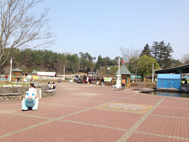 レストラン チャチャ - 石越（ラーメン）の写真